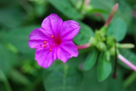 风水学基本知识